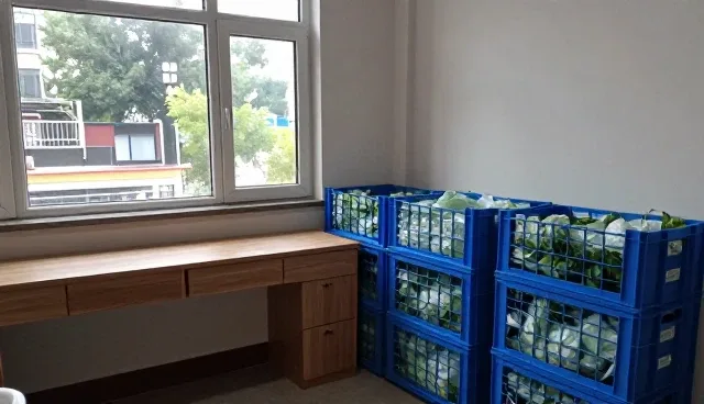 生鲜食品选型中适用条件的多维度考量